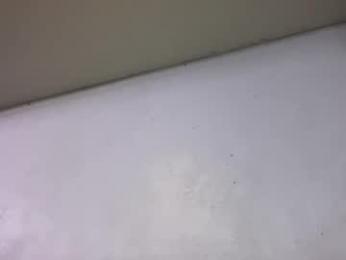 animeboygirls webcam model stream image