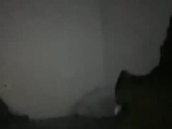 animeboygirls webcam model stream image