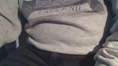 Linienpiilot webcam model stream image