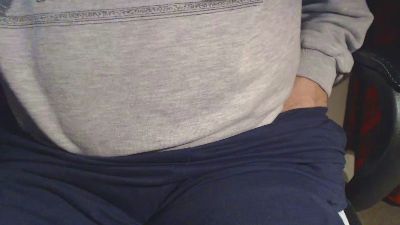 Linienpiilot webcam model stream image