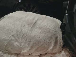 gmajor702 webcam model stream image