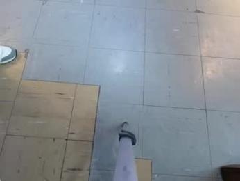 boranget webcam model stream image