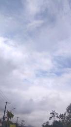 Gatonota webcam model stream image