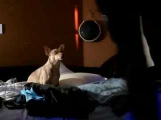 nastythaughts85 webcam model stream image