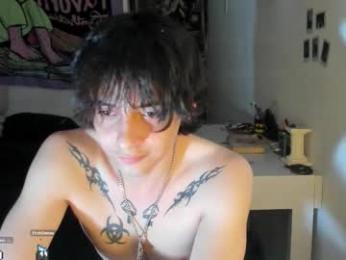 sai_l webcam model stream image