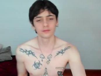 sai_l webcam model stream image