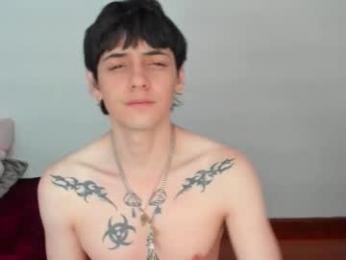 sai_l webcam model stream image