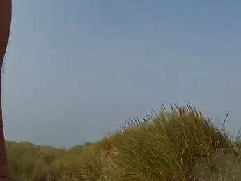 dog-naked webcam model stream image