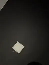 waspy webcam model stream image