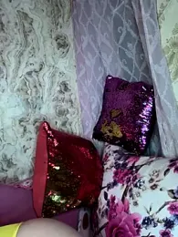 PRINSECA-AMBER webcam model stream image