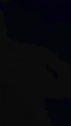 Cornehub webcam model stream image