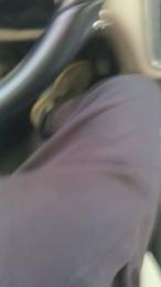 Rikycondividere webcam model stream image