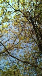 Normanhot82 webcam model stream image