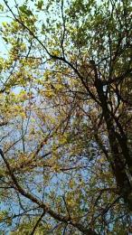 Normanhot82 webcam model stream image