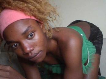 BBQ-Fluid webcam model stream image