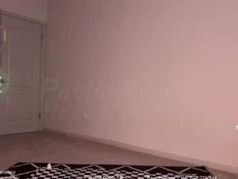 petitebrat webcam model stream image