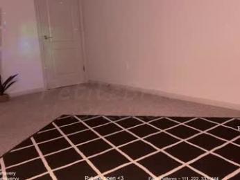 petitebrat webcam model stream image