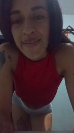 mica241 webcam model stream image