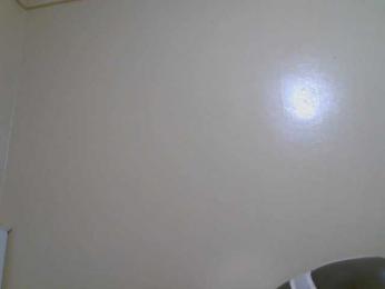 Petitelv webcam bongacams model stream image