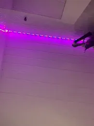 luludoll_ webcam stripchat model stream image