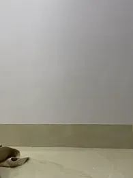 ehdwns webcam model stream image