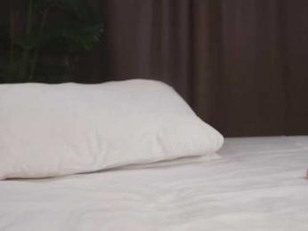 Karollovea webcam model stream image