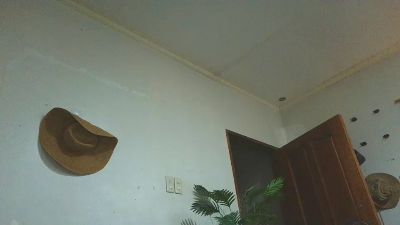 Sophialoove69 webcam model stream image