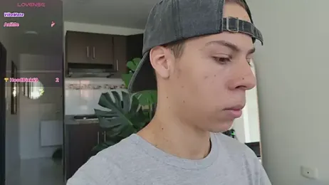 grey___27 webcam model stream image