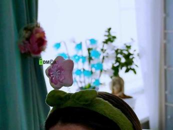 -ANN webcam model stream image