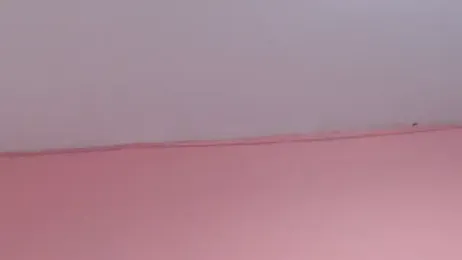 Vicky_Love_ webcam model stream image