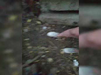 sluska1 webcam model stream image