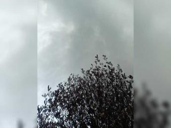 AlexaBrown12 webcam model stream image