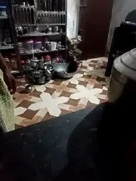 ipvk webcam model stream image