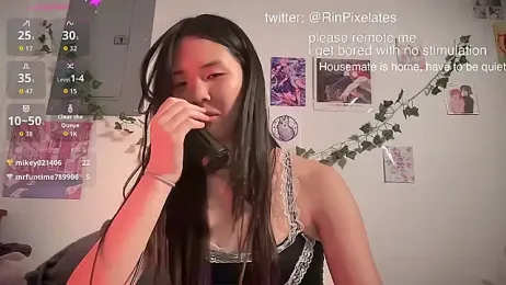 Rinpixel webcam model stream image