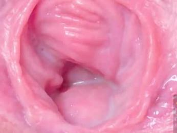 horny_moly webcam model stream image