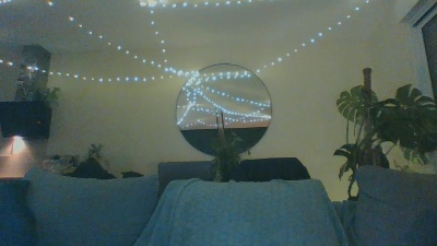 Pifitfr webcam model stream image