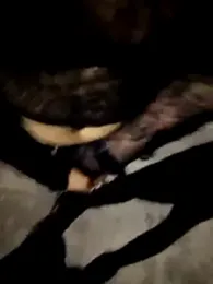 Ariadna2015 webcam model stream image