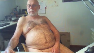 Seniorhengst webcam model stream image