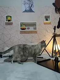 Irresistible24 webcam stripchat model stream image