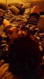 xXxMeexXxx webcam model stream image