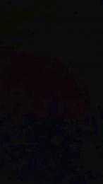 Pbless webcam model stream image