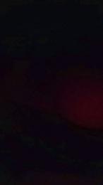 Pbless webcam model stream image