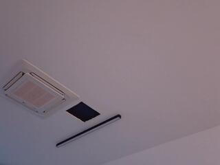 Indy Harrison webcam model stream image