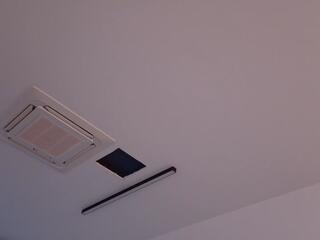 Indy Harrison webcam model stream image