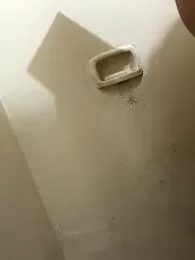 wellingtonmds webcam model stream image