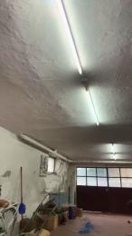 mrlightxxx webcam model stream image