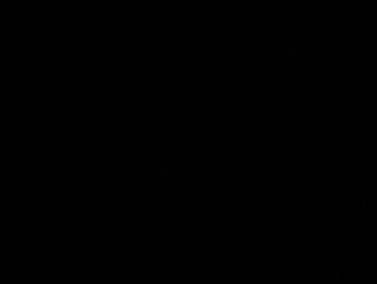 boy_trans webcam model stream image