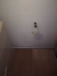 LetsFunKARINA webcam model stream image