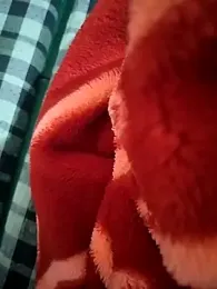 sexy__girls98 webcam model stream image