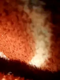 sexy__girls98 webcam stripchat model stream image